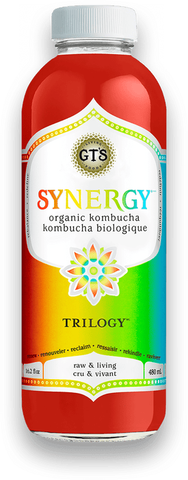 GT's Organic - Trilogy Kombucha Drink, 480ml