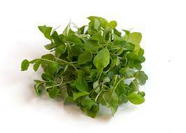 Paradise Fields - Organic Arugula Microgreens, 50g