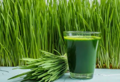 Paradise Fields - Organic Wheatgrass, 175g