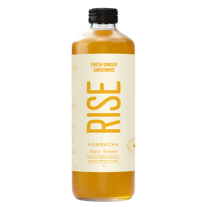 Rise Kombucha - Fresh Ginger White Tea, 1L
