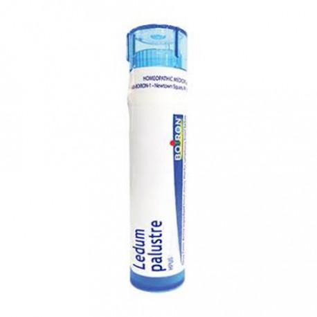 Boiron - Ledum Palustre 30ch, 80 pellets