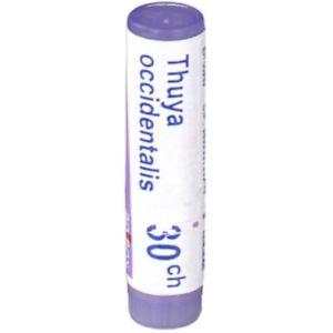Boiron - Thuja Occidentalis 30ch, 80 pellets