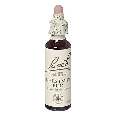 Bach Original Flower Remedies - Chestnut Bud, 20ml