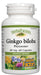 Natural Factors - Ginkgo biloba Phytosome®, 60 capsules