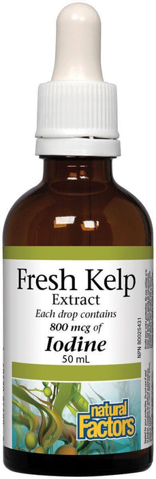 Natural Factors - Liquid Iodine Fresh Kelp Extract, 50ml