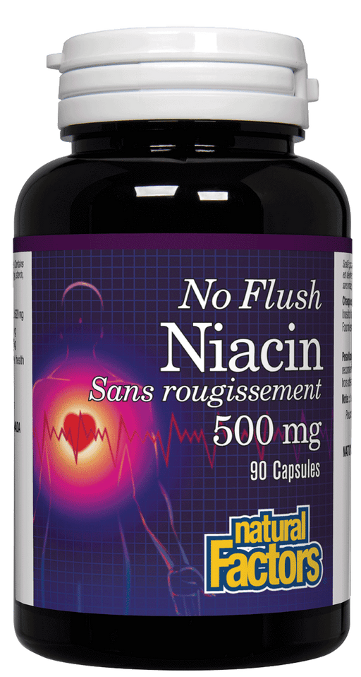 Natural Factors - No Flush Niacin, 90 capsules