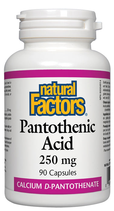 Natural Factors - Pantothenic Acid - 250mg, 90 capsules