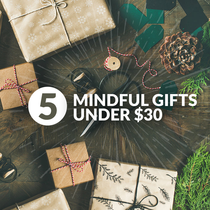 Giving Goodness: Five Mindful Gifts Under $30!