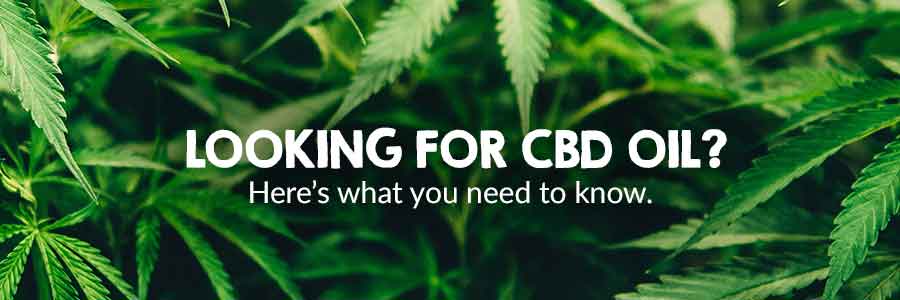 Looking for CBD oil?