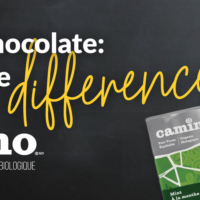 Camino Chocolate: Making The Difference