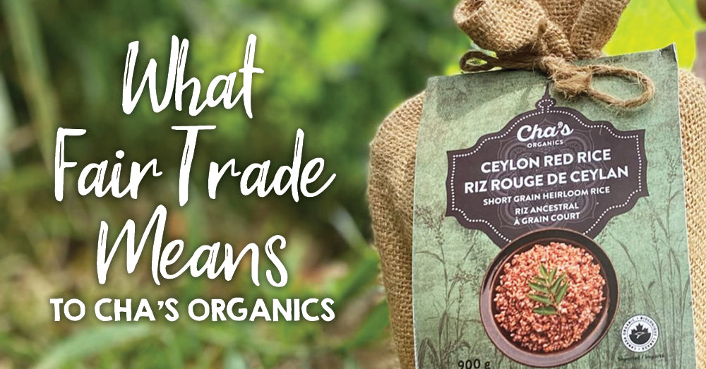 What Fair Trade Means to Cha's Organics