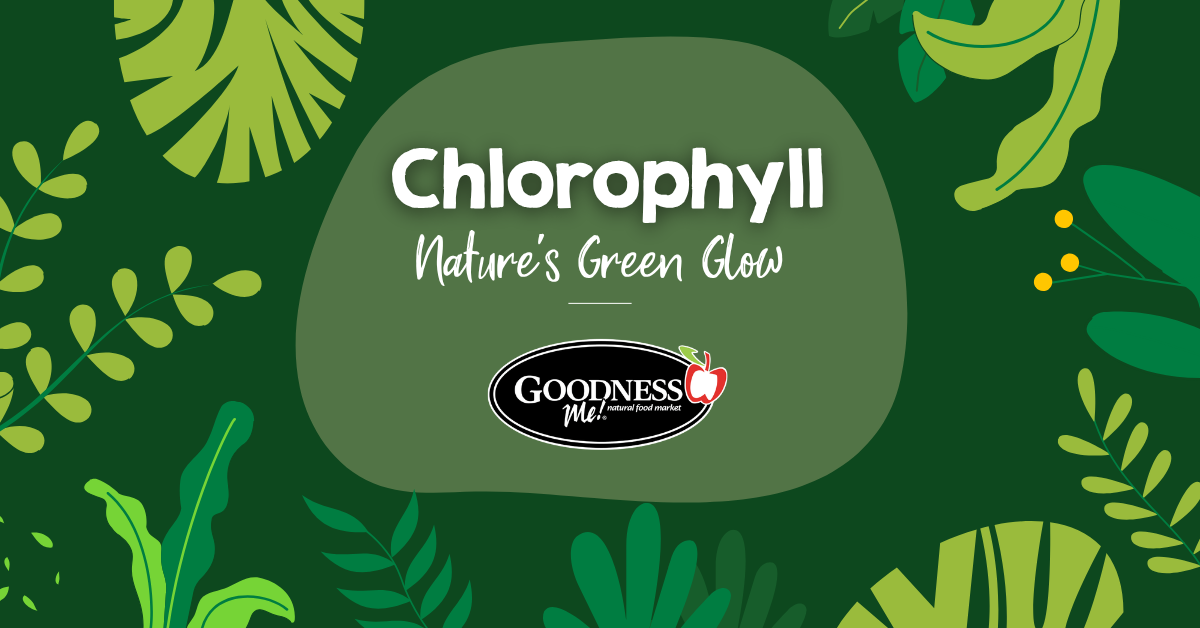 Chlorophyll: Nature’s Green Glow 🌿