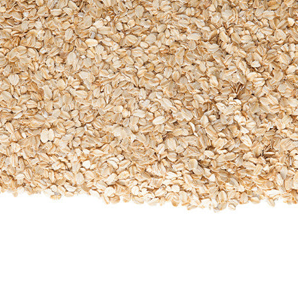 Our Top 6 Oat Product Picks - You'll Love 'Em!