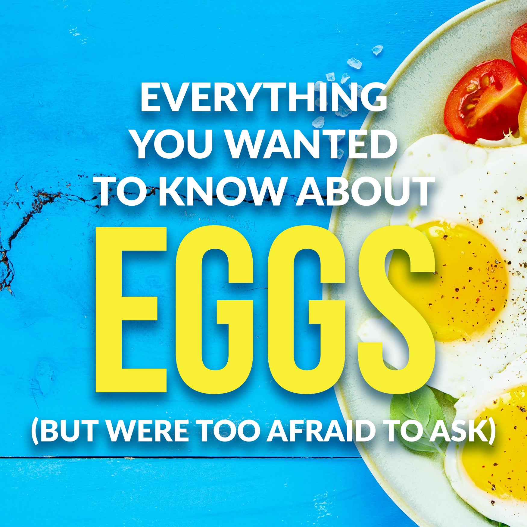 Everything You Wanted To Know About Eggs (But Were Too Afraid To Ask)