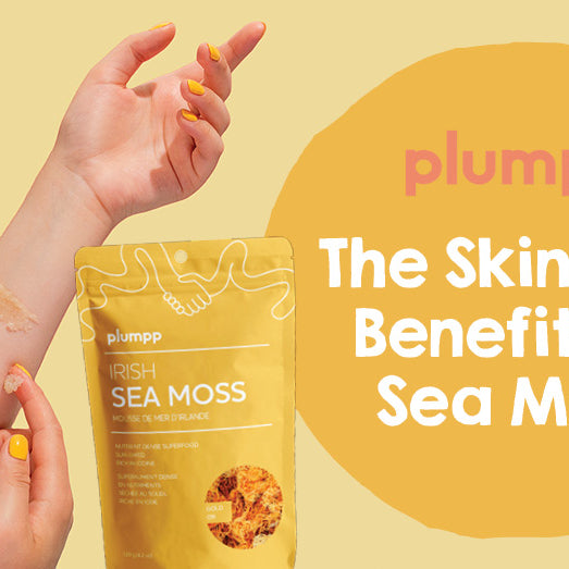 The Skincare Benefits of Sea Moss