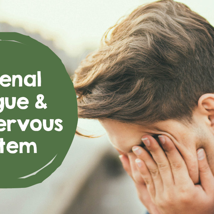 Adrenal Fatigue & The Nervous System