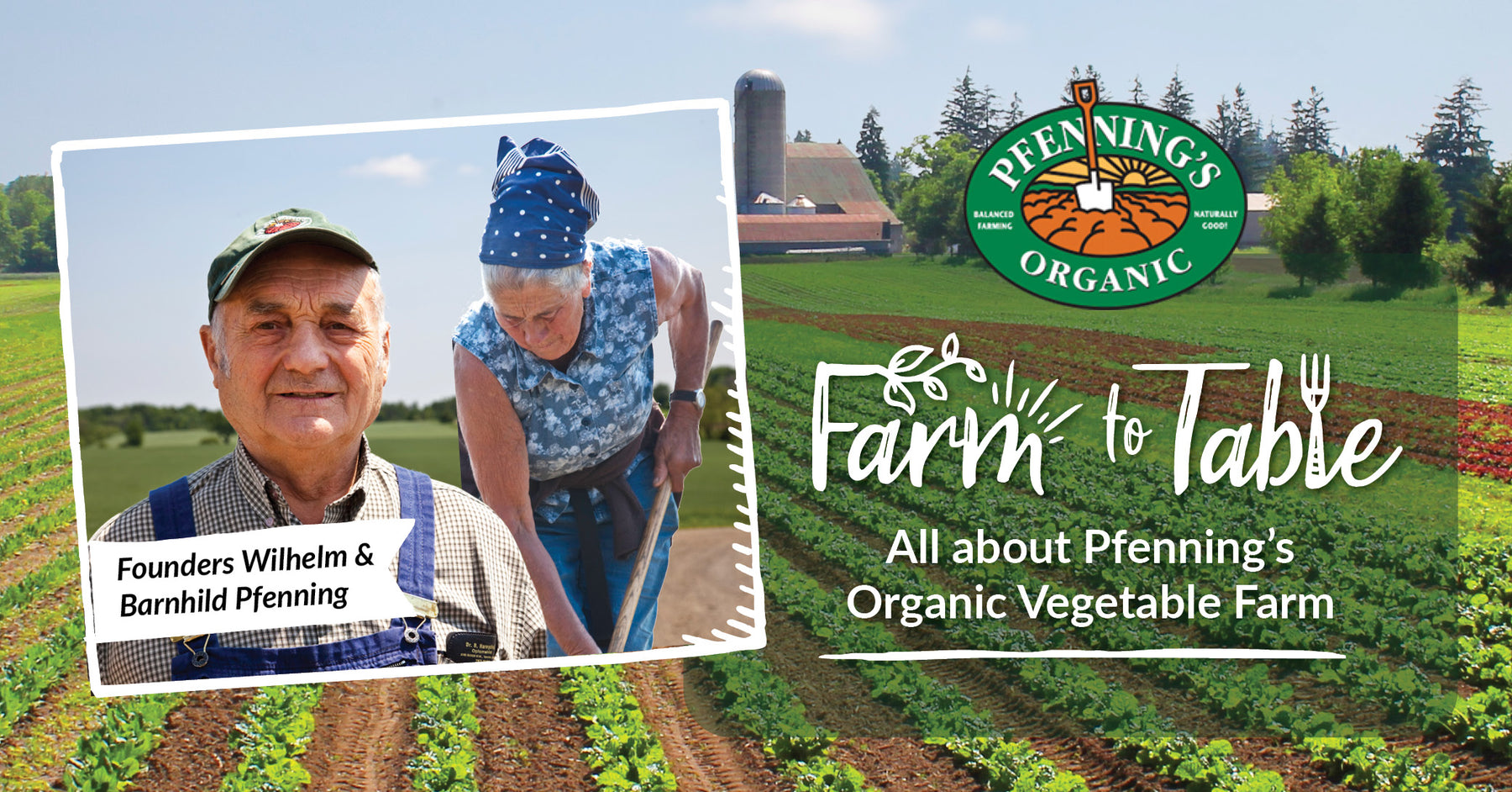Farm to Table - All about Pfenning's Organic Vegetable Farm