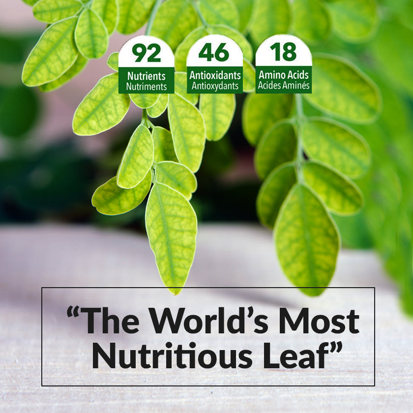 Moringa: "The World's Most Nutritious Leaf"