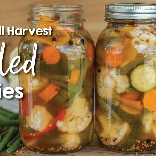 Mixed Fall Harvest Pickled Veggies