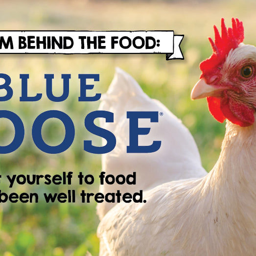 The Farm Behind the Food - Blue Goose Chicken
