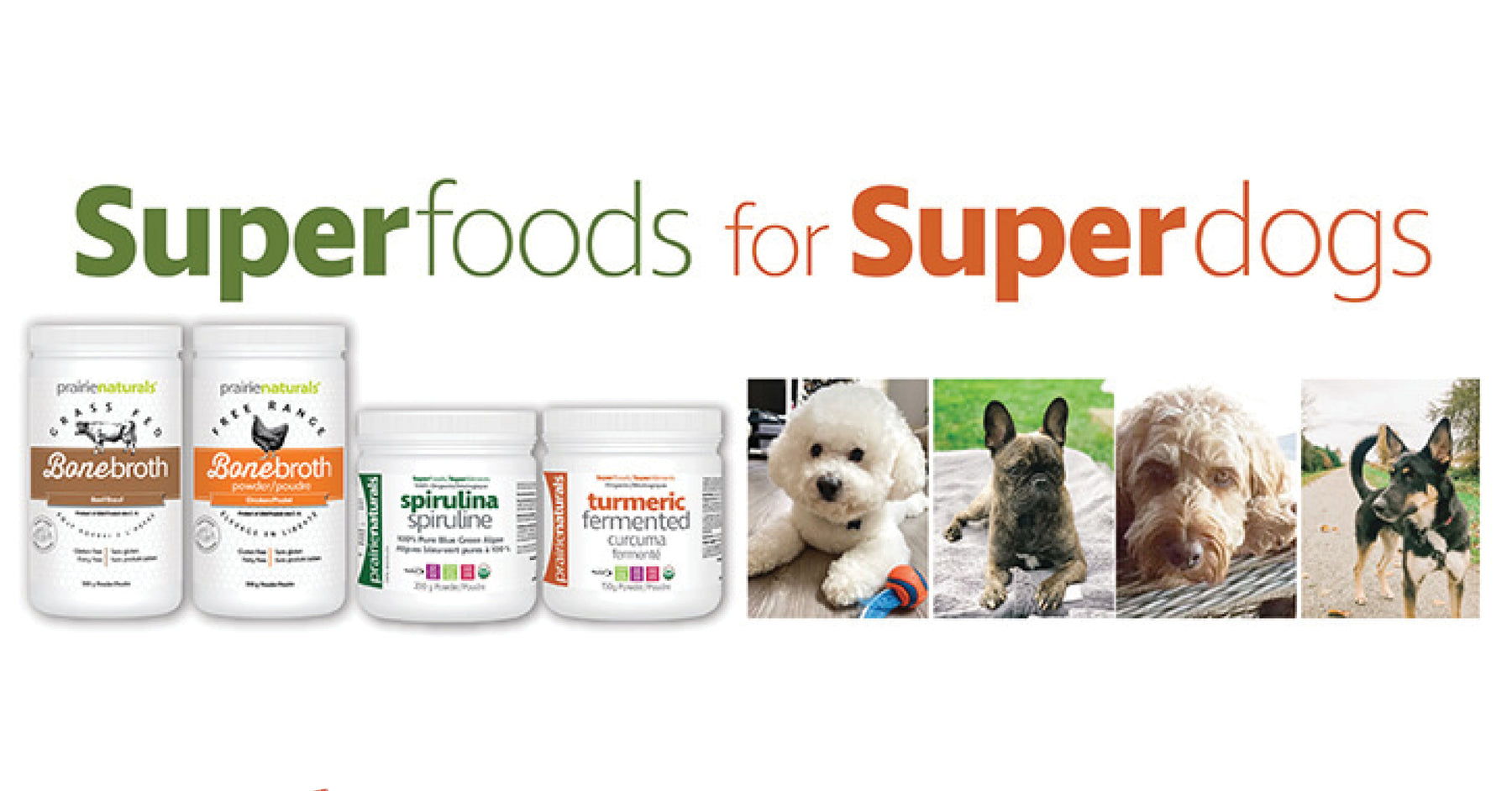 SuperFoods for SuperDogs