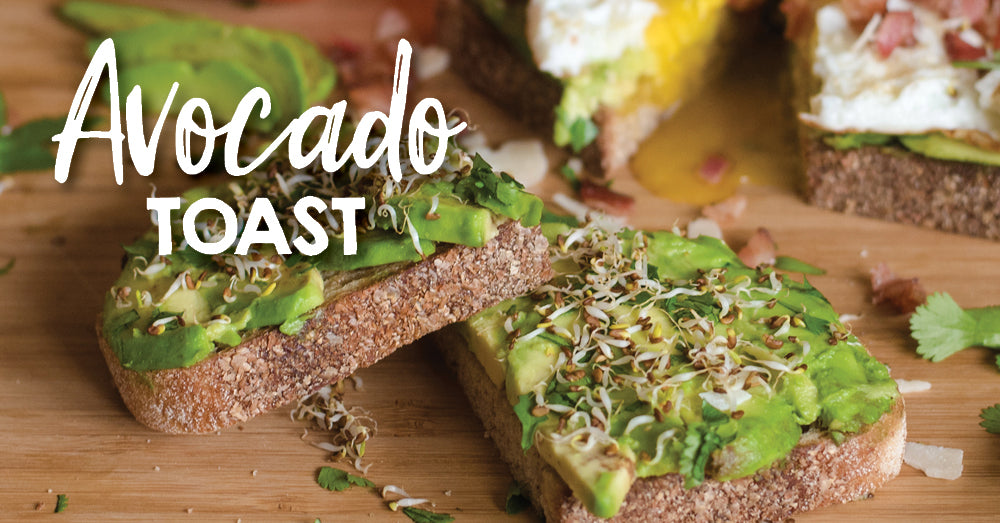 Avocado Toast