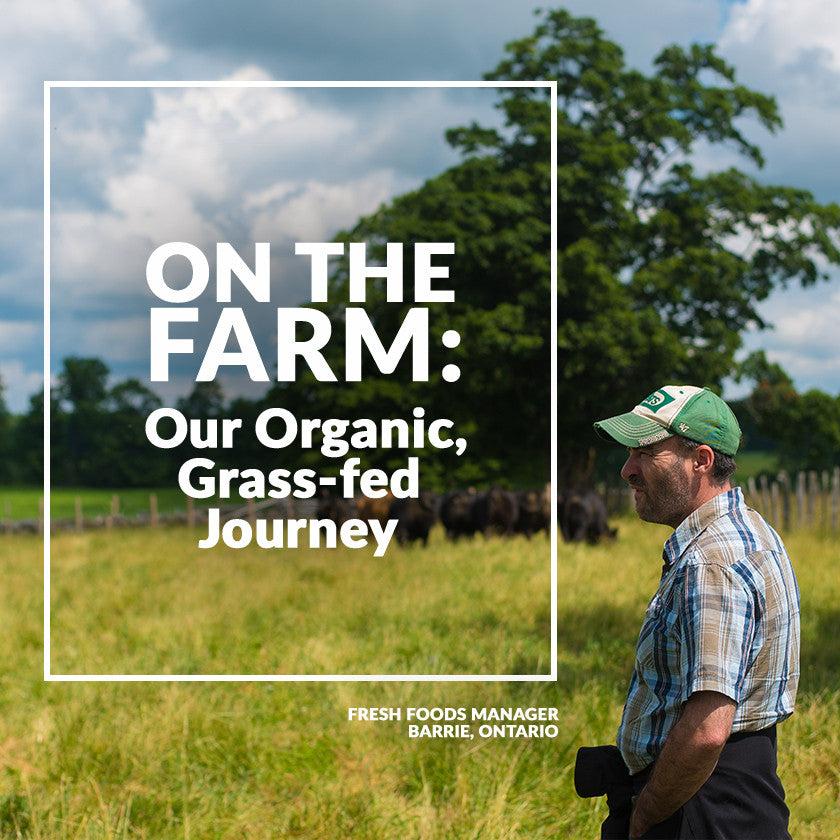 On The Farm: Our Organic, Grass-Fed Journey