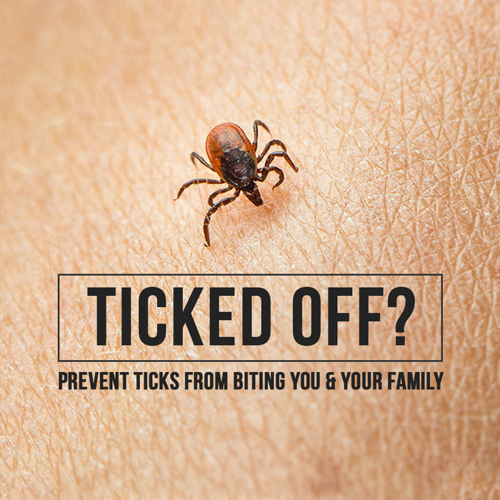 Ticked Off? Preventing Ticks From Biting You & Your Family