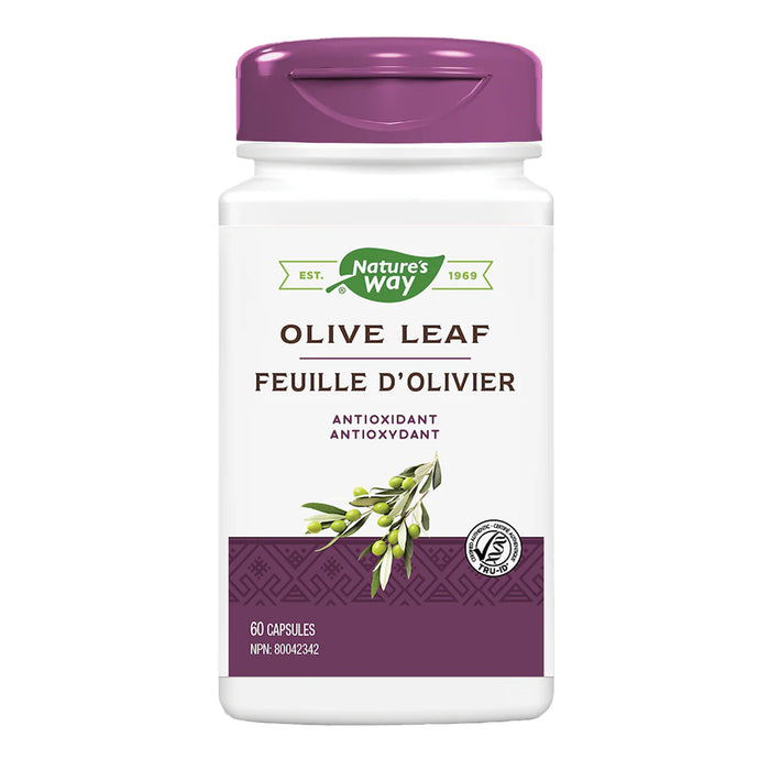 Nature's Way - Olive Leaf Extract 250 mg, 60 Capsules