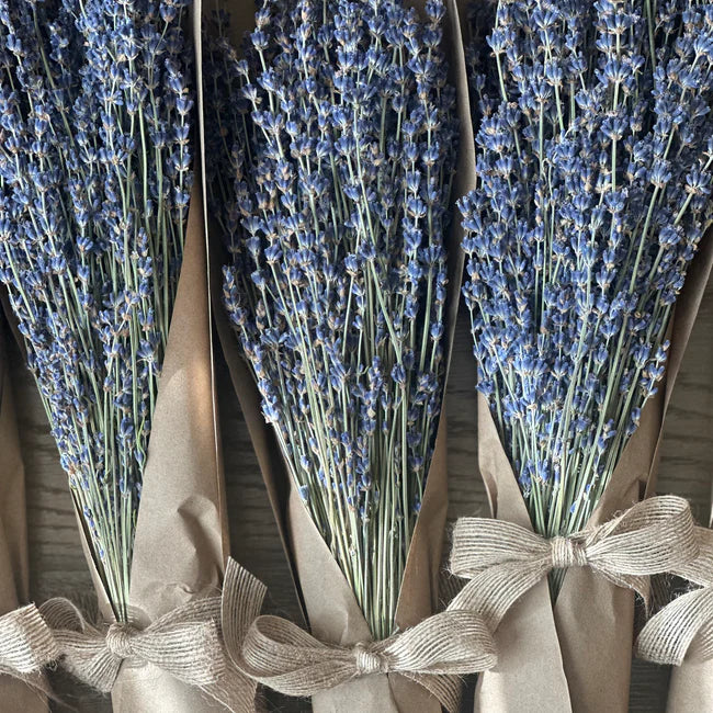 Lavender Creek Farms - Dried English Lavender Bouquet, Each