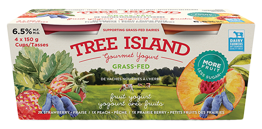 Tree Island Yogurt - Yogurt Variety Pack - Fruit, 4x150 g