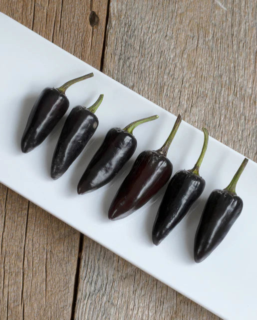 West Coast Seeds - Organic Hungarian Black Pepper