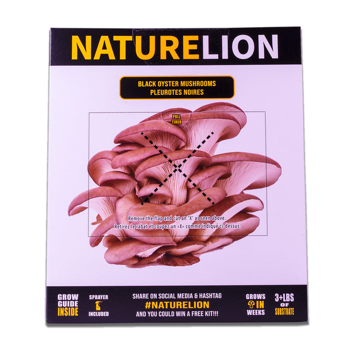 Nature Lion - Black Oyster Mushroom Grow Kit