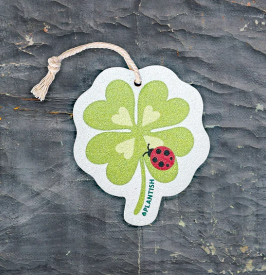 Plantish - Dewdrop Dwellers Sponge - Clover, Each
