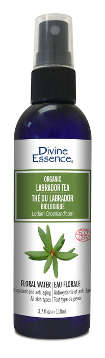 Divine Essence - Organic Labrador Tea, 110 mL