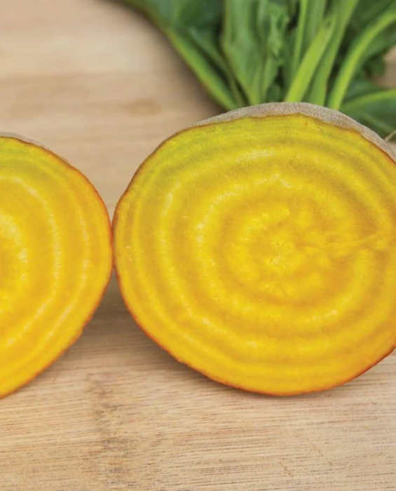 West Coast Seeds - Organic Touchstone Gold, 200 Seeds