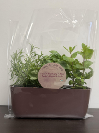 Freeman Organic Herbs - Spring Kitchen Trio