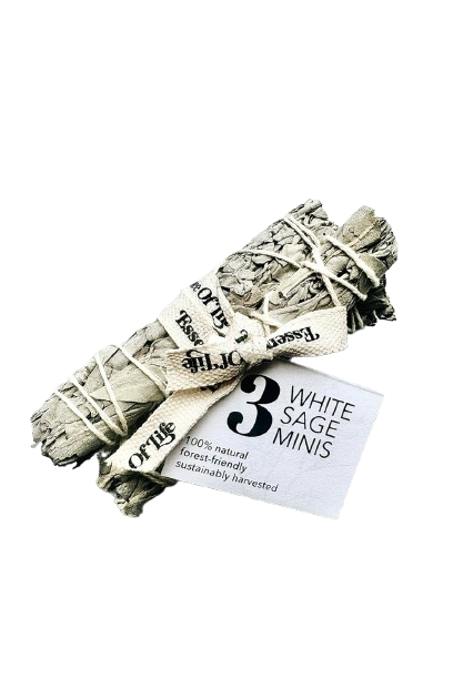 Essence of Life Organics - White Sage Minis, Each