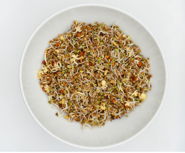 West Coast Seeds - Organic Go Go Blend Sprouting Seed, 100 g