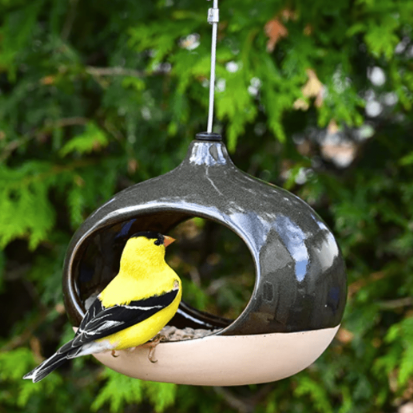 Pinebush - Bamboo 360 Bird Feeder, Each