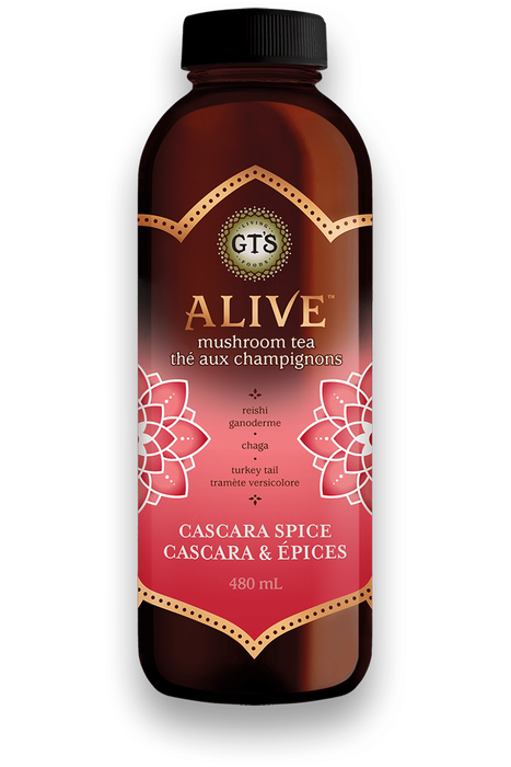 GT's Organic - Alive Mushroom Tea Cascara Spice, 480ml