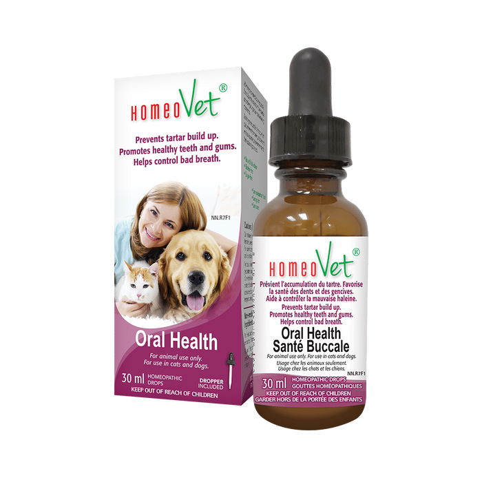 HomeoVet Homeopathic Drops - Oral Health, 30 mL