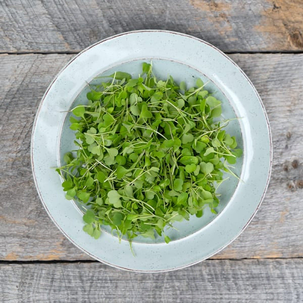 Cookstown Greens - Organic Arugula Microgreens, 75 g