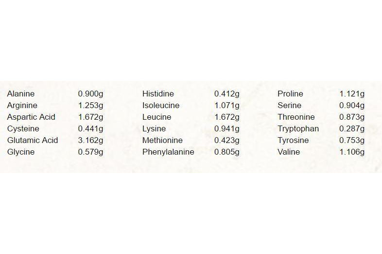 Iron Vegan - Sprouted Protein Natural , 1kg