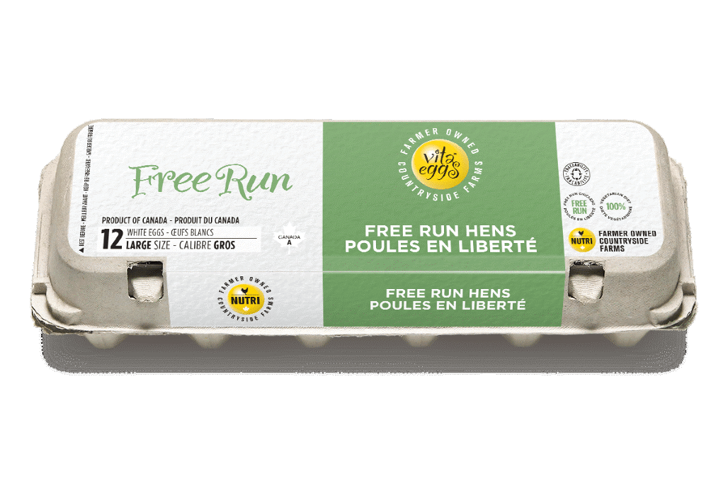 Vita Eggs - White Free Run Eggs, 12 Large