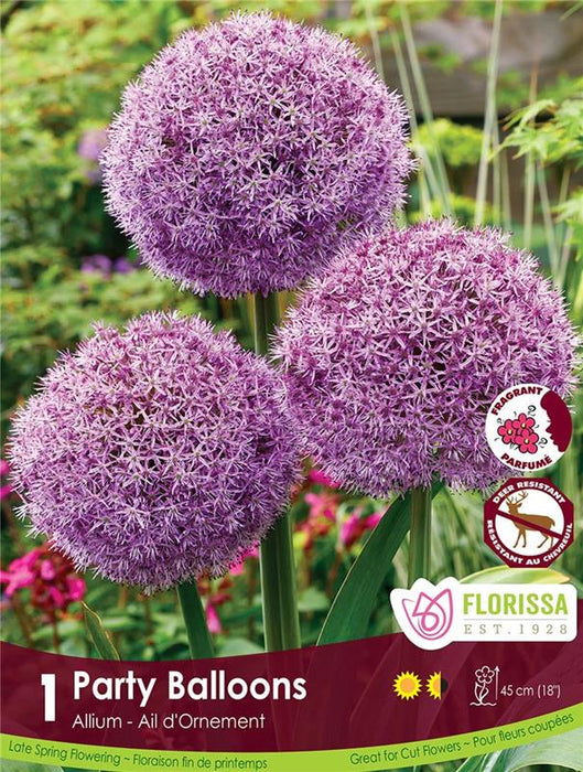 Florissa - Allium - Party Balloons, Each