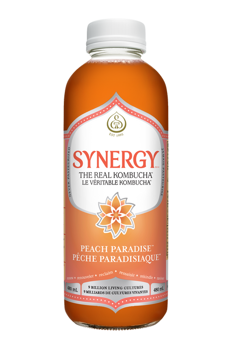 GT's Organic Kombucha - Peach Paradise Kombucha, 480 mL