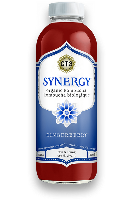 GT's Organic - Gingerberry Kombucha Drink, 480 mL