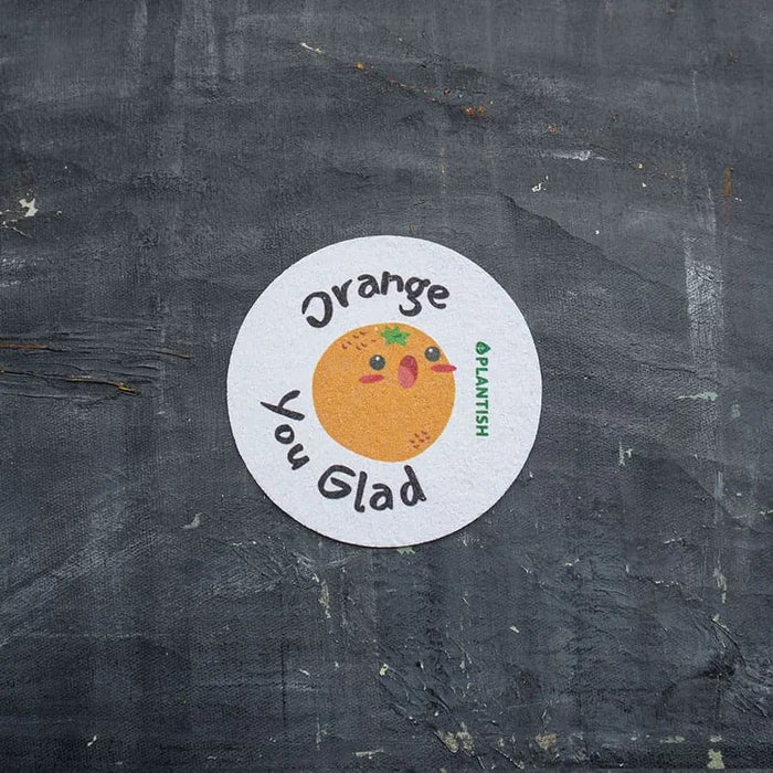 Plantish - Pop-Up Sponge - Orange You Glad, Each