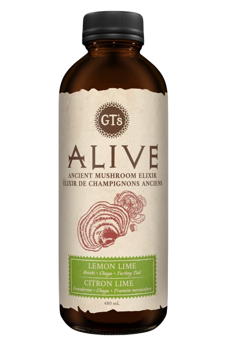 GT's Organic Kombucha - Alive - Lemon Lime, 480 mL